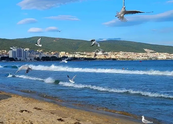 Deluxe In Cascadas Sunny * Слънчев бряг